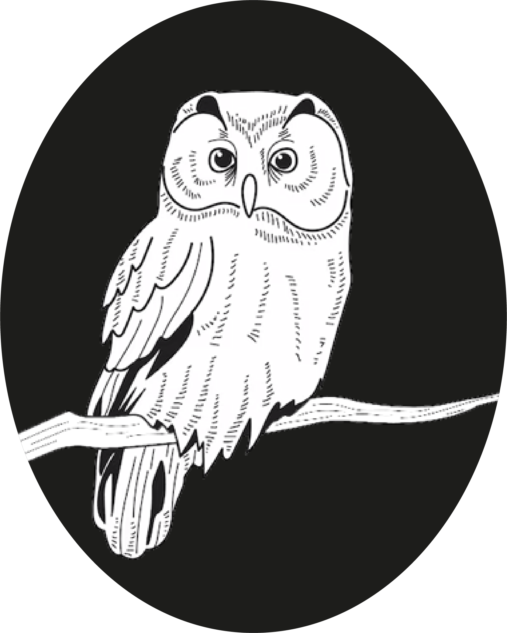 Logo The Hurried Owl